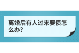 石家庄附近律师讨债：专业法律支持，助力解决债务纠纷